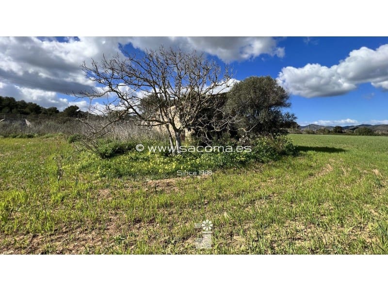 Grunde uden byggetilladelser til salg i Arta - € 790.000 (Ref: 7446069)