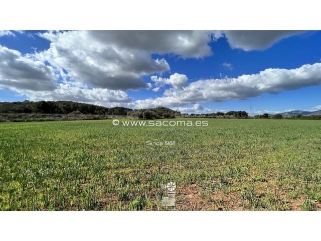 Grunde uden byggetilladelser til salg i Artà - € 790.000 (Ref: 7446069)