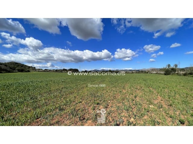 Grunde uden byggetilladelser til salg i Artà - € 790.000 (Ref: 7446069)