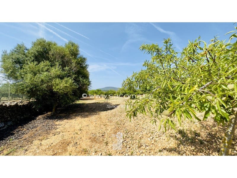 4 soveværelse Finca/Landehus til salg i Portocristo / Port de Manacor med swimmingpool - € 2.975.000 (Ref: 7670436)