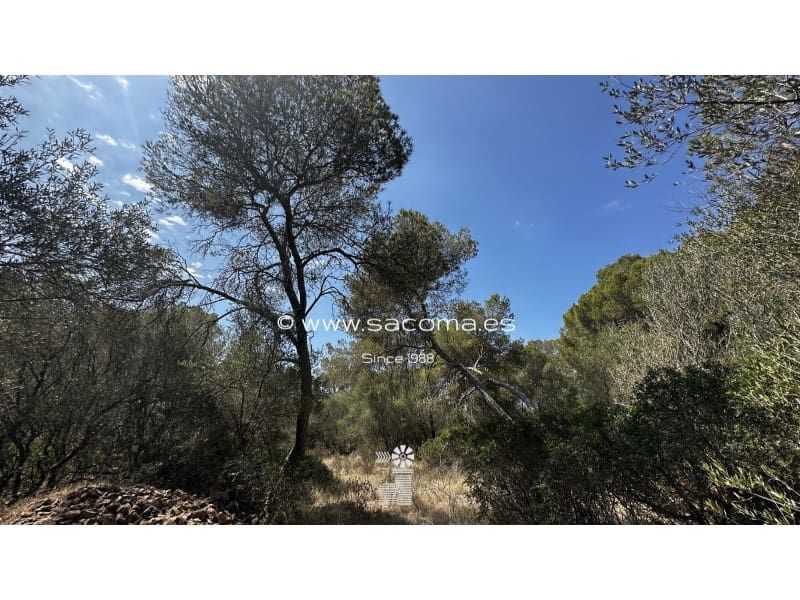 4 soverom Finca/Herregård til salgs i Llucmajor - € 975 000 (Ref: 7889586)