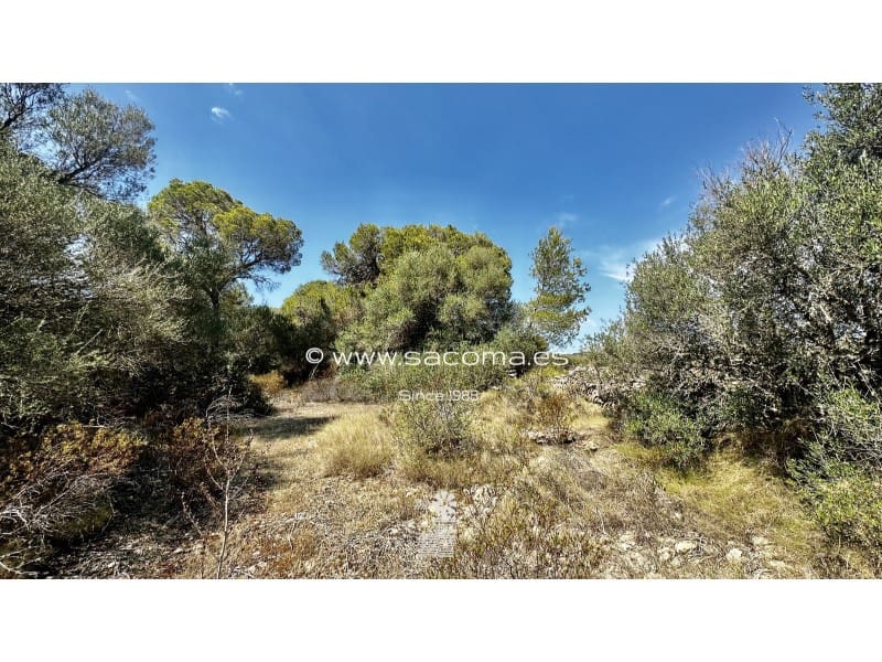 4 soverom Finca/Herregård til salgs i Llucmajor - € 975 000 (Ref: 7889586)