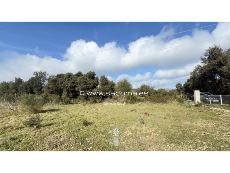 Grunde uden byggetilladelser til salg i Arta - € 380.000 (Ref: 8839324)