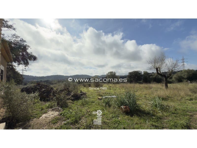 Grunde uden byggetilladelser til salg i Arta - € 380.000 (Ref: 8839324)