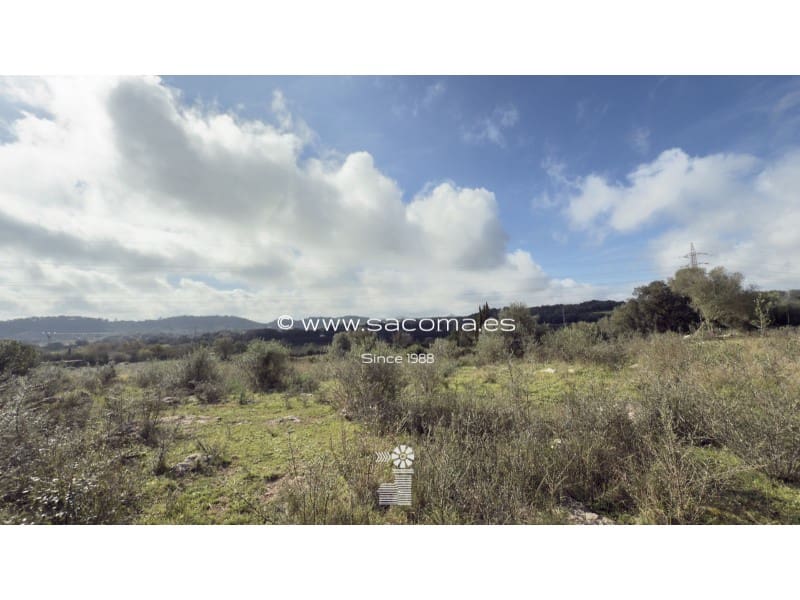 Grunde uden byggetilladelser til salg i Arta - € 380.000 (Ref: 8839324)