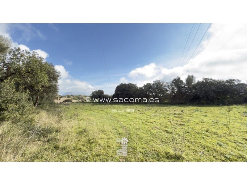 Grunde uden byggetilladelser til salg i Arta - € 380.000 (Ref: 8839324)