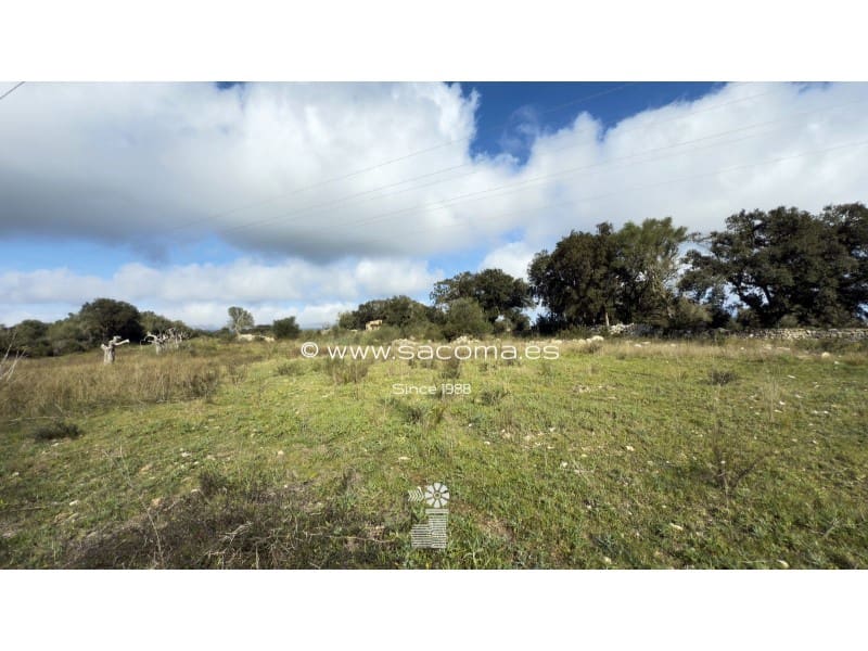 Grunde uden byggetilladelser til salg i Arta - € 380.000 (Ref: 8839324)