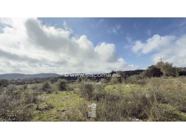 Grunde uden byggetilladelser til salg i Artà - € 380.000 (Ref: 8839324)