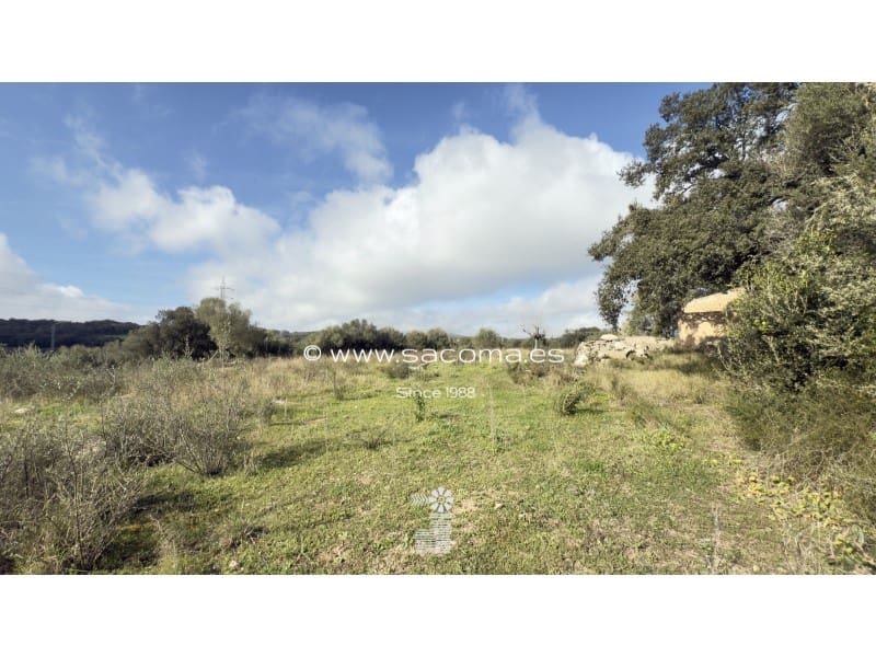 Grunde uden byggetilladelser til salg i Arta - € 380.000 (Ref: 8839324)