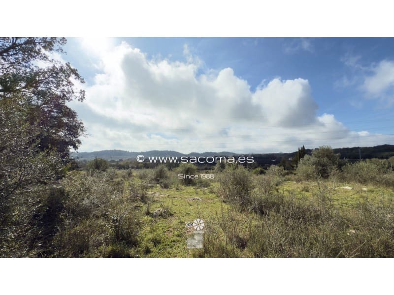 Grunde uden byggetilladelser til salg i Arta - € 380.000 (Ref: 8839324)