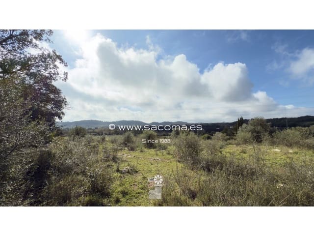 Grunde uden byggetilladelser til salg i Artà - € 380.000 (Ref: 8839324)