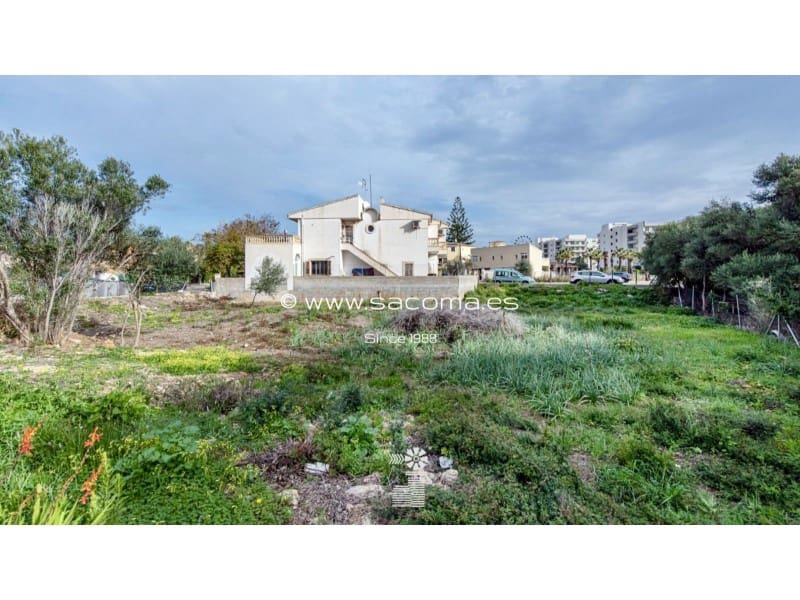 Area Edificabile in vendita in Sa Coma - 160.000 € (Rif: 8849876)