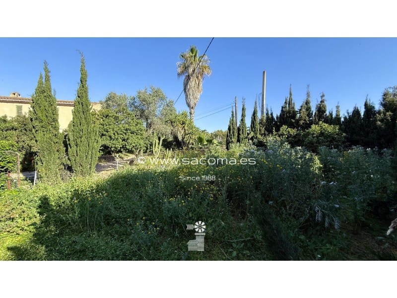 Area Edificabile in vendita in Sant Llorenc des Cardassar - 175.000 € (Rif: 8970641)