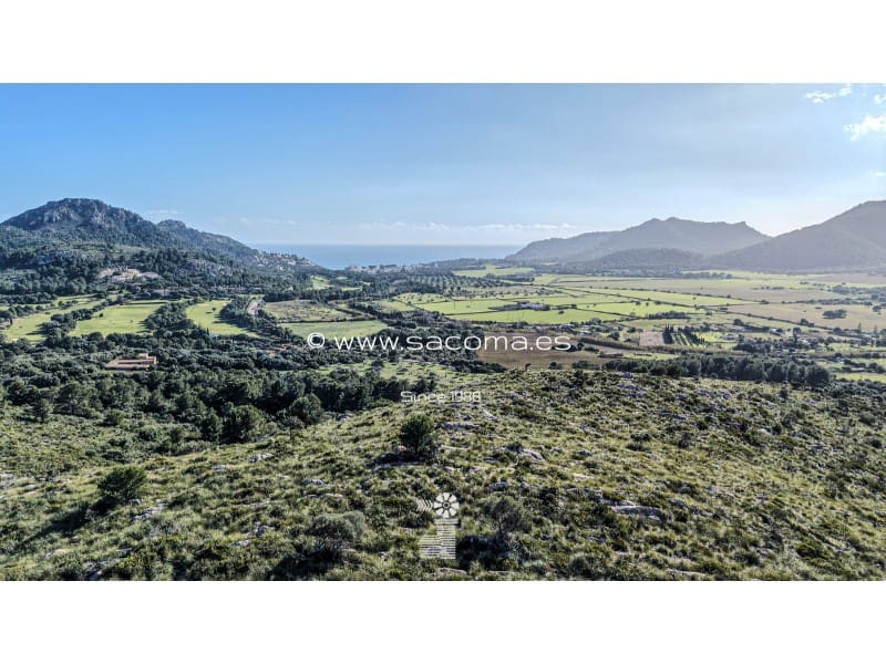 Terreno Não Urbanizado para venda em Canyamel - 790 000 € (Ref: 9551297)