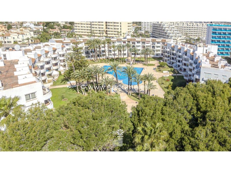 1 camera da letto Appartamento in vendita in Sa Coma con piscina - 280.000 € (Rif: 9772977)