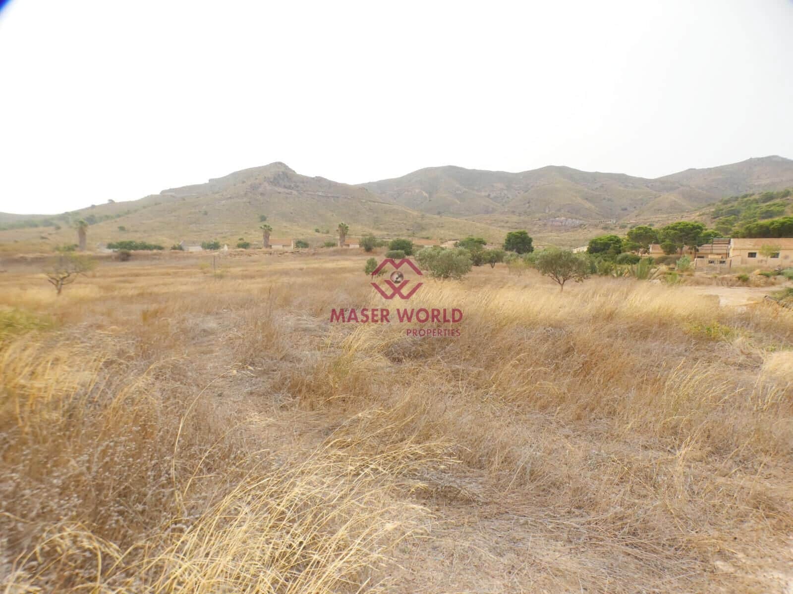 Kommersiell till salu i Campillo de Adentro - 69 000 € (Ref: 10049257)