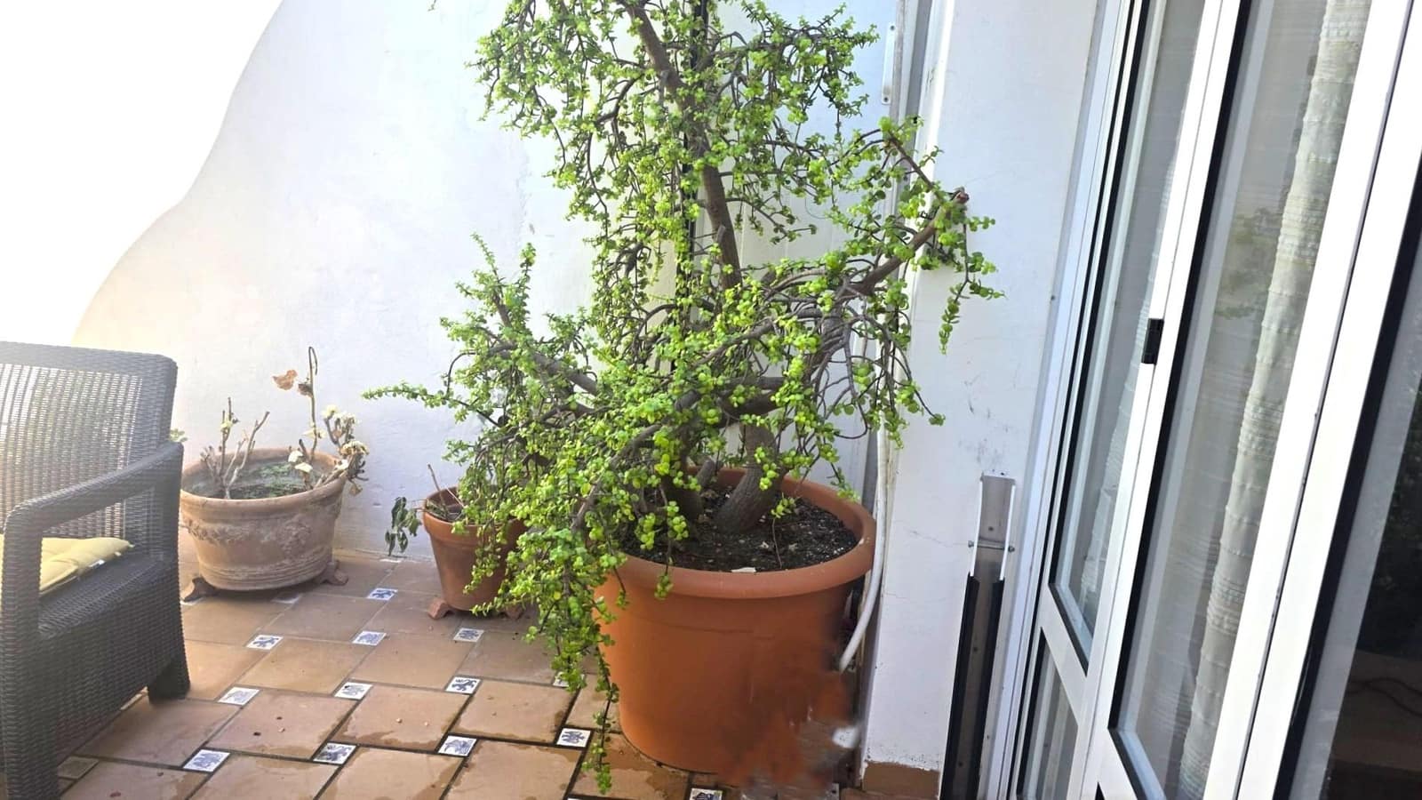 3 camera da letto Appartamento sulla Spiaggia in vendita in Santiago de la Ribera - 319.900 € (Rif: 10098386)