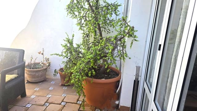 3 camera da letto Appartamento sulla Spiaggia in vendita in Santiago de la Ribera, San Javier - 319.900 € (Rif: 10098386)