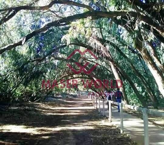 2 Zimmer Bungalow zu verkaufen in Torrevieja mit Pool - 263.900 € (Ref: 8972106)