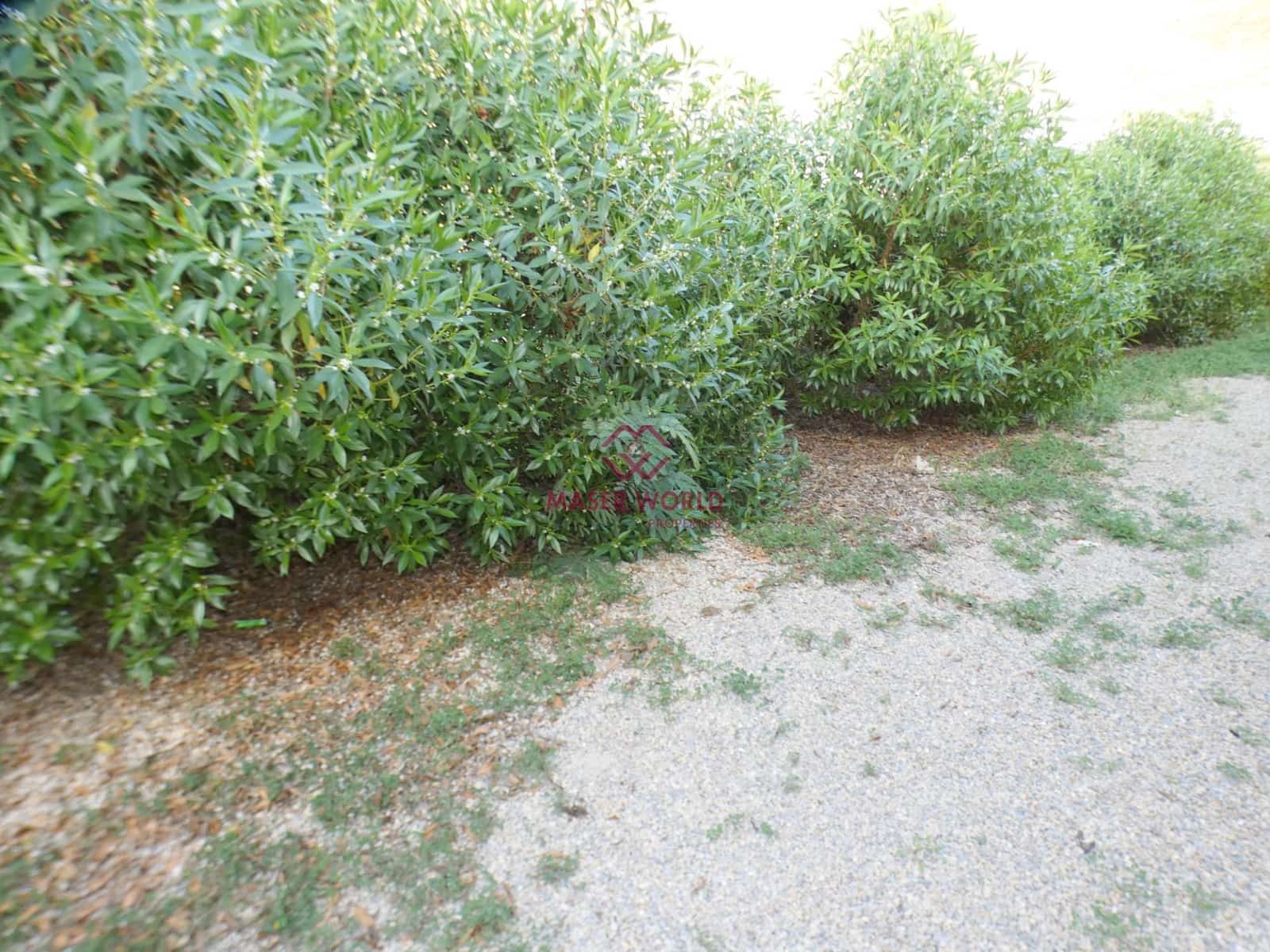 2 soveværelse Bungalow til salg i La Azohia - € 223.000 (Ref: 9367424)