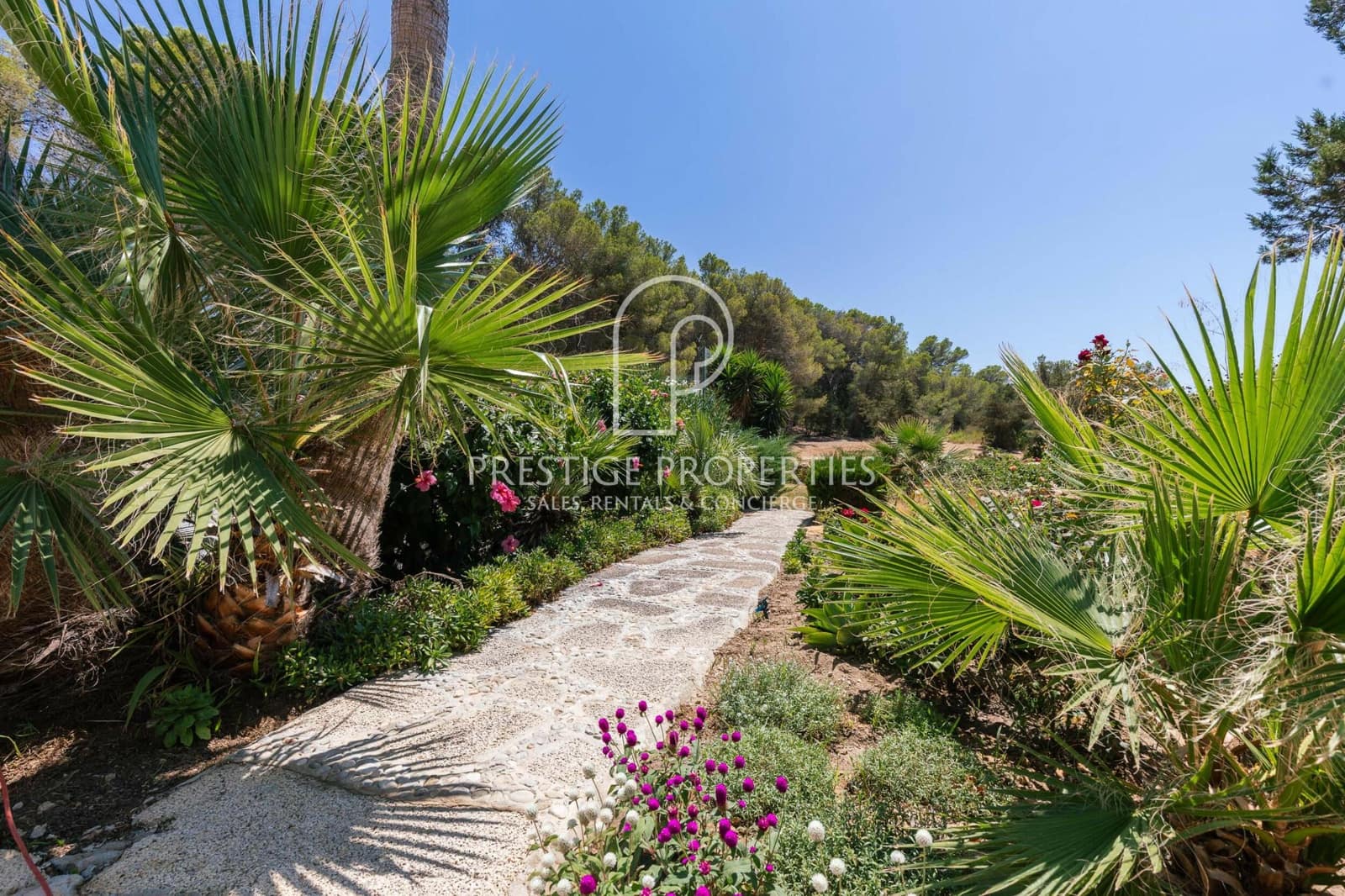 6 bedroom Finca/Country House for sale in San Jose / Sant Josep de Sa Talaia with pool garage - € 4,400,000 (Ref: 10026637)