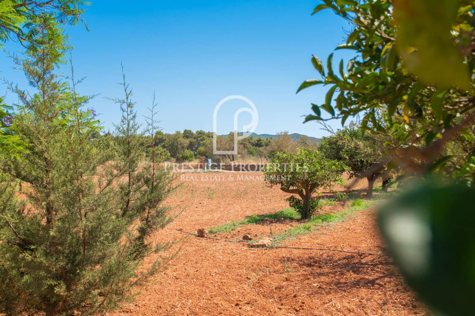 3 chambre Villa/Maison à vendre à Sant Antoni de Portmany - 1 500 000 € (Ref: 7035600)