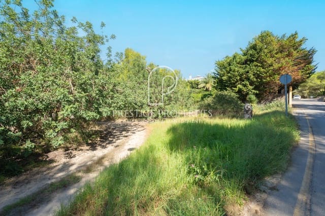 Undeveloped Land for sale in Santa Eulalia / Santa Eularia - € 950,000 (Ref: 7864993)