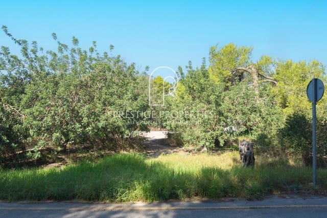 Undeveloped Land for sale in Santa Eulalia / Santa Eularia - € 950,000 (Ref: 7864993)