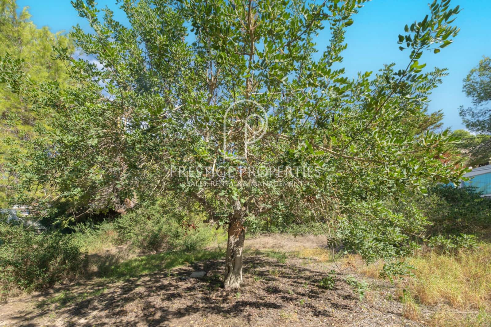 Grunde uden byggetilladelser til salg i Santa Eulalia / Santa Eularia - € 950.000 (Ref: 7864993)