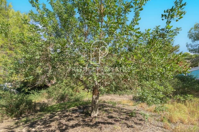 Undeveloped Land for sale in Santa Eulalia / Santa Eularia - € 950,000 (Ref: 7864993)