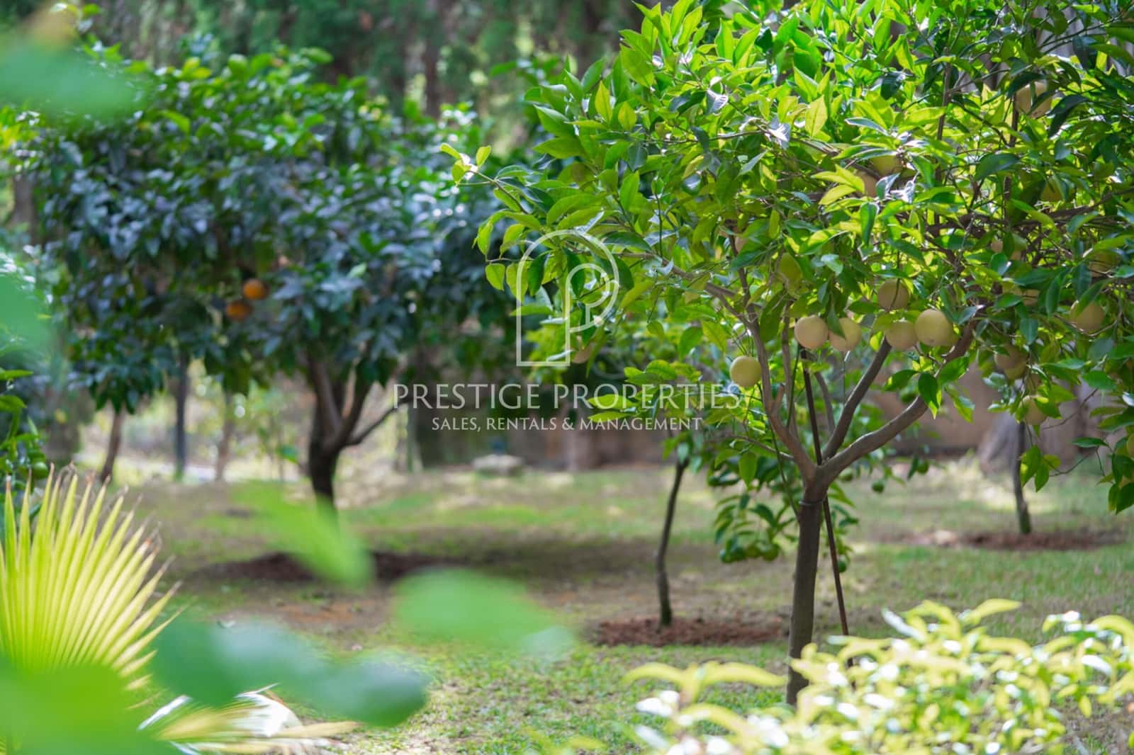 4 soveværelse Finca/Landehus til salg i Sant Joan de Labritja med swimmingpool garage - € 2.190.000 (Ref: 7921564)