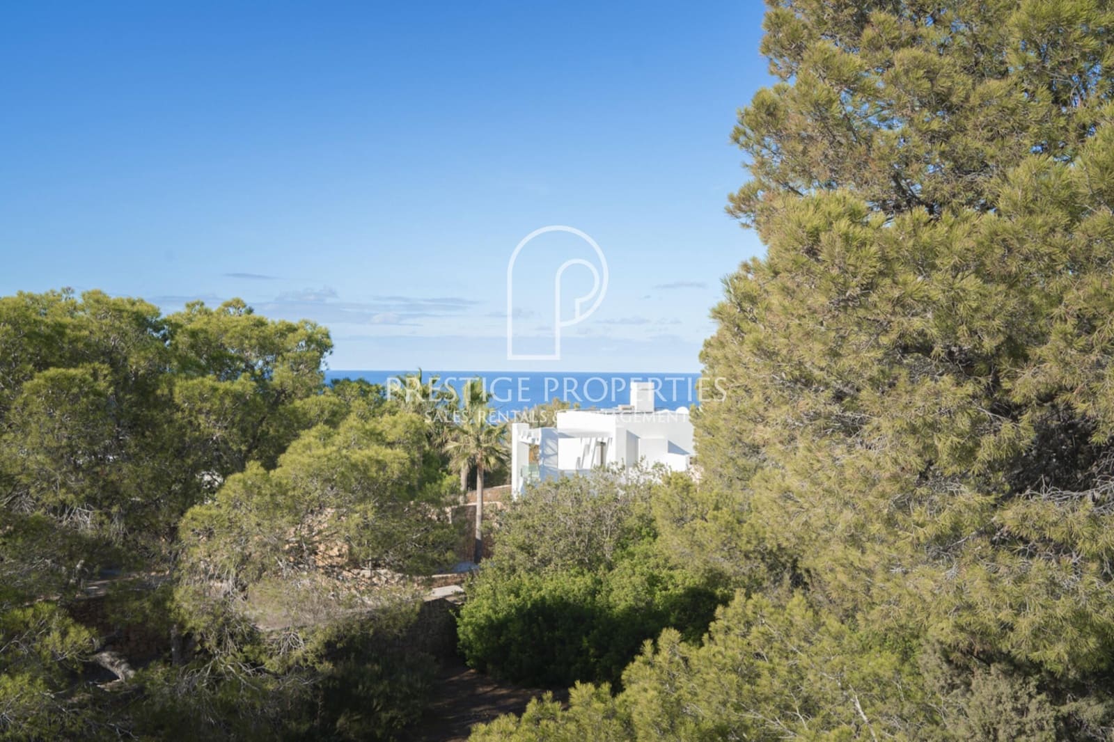 4 sypialnia Willa na sprzedaż w San Jose / Sant Josep de Sa Talaia z basenem - 1 850 000 € (Ref: 7975973)