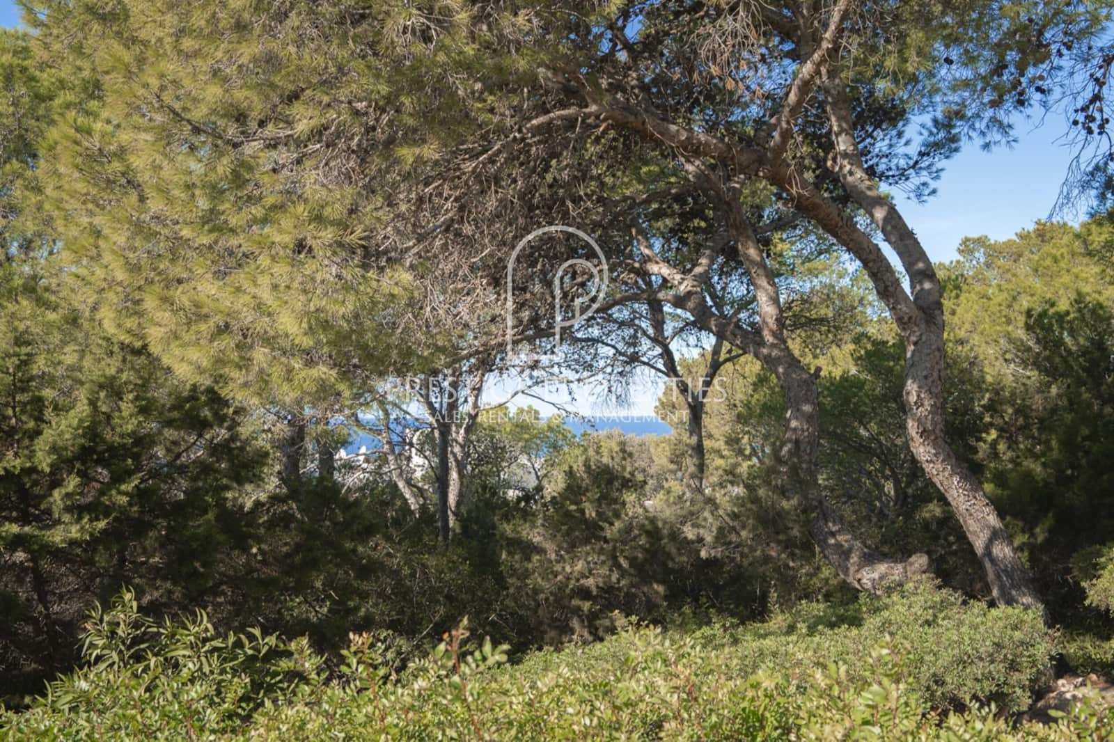 4 sypialnia Willa na sprzedaż w San Jose / Sant Josep de Sa Talaia z basenem - 1 850 000 € (Ref: 7975973)