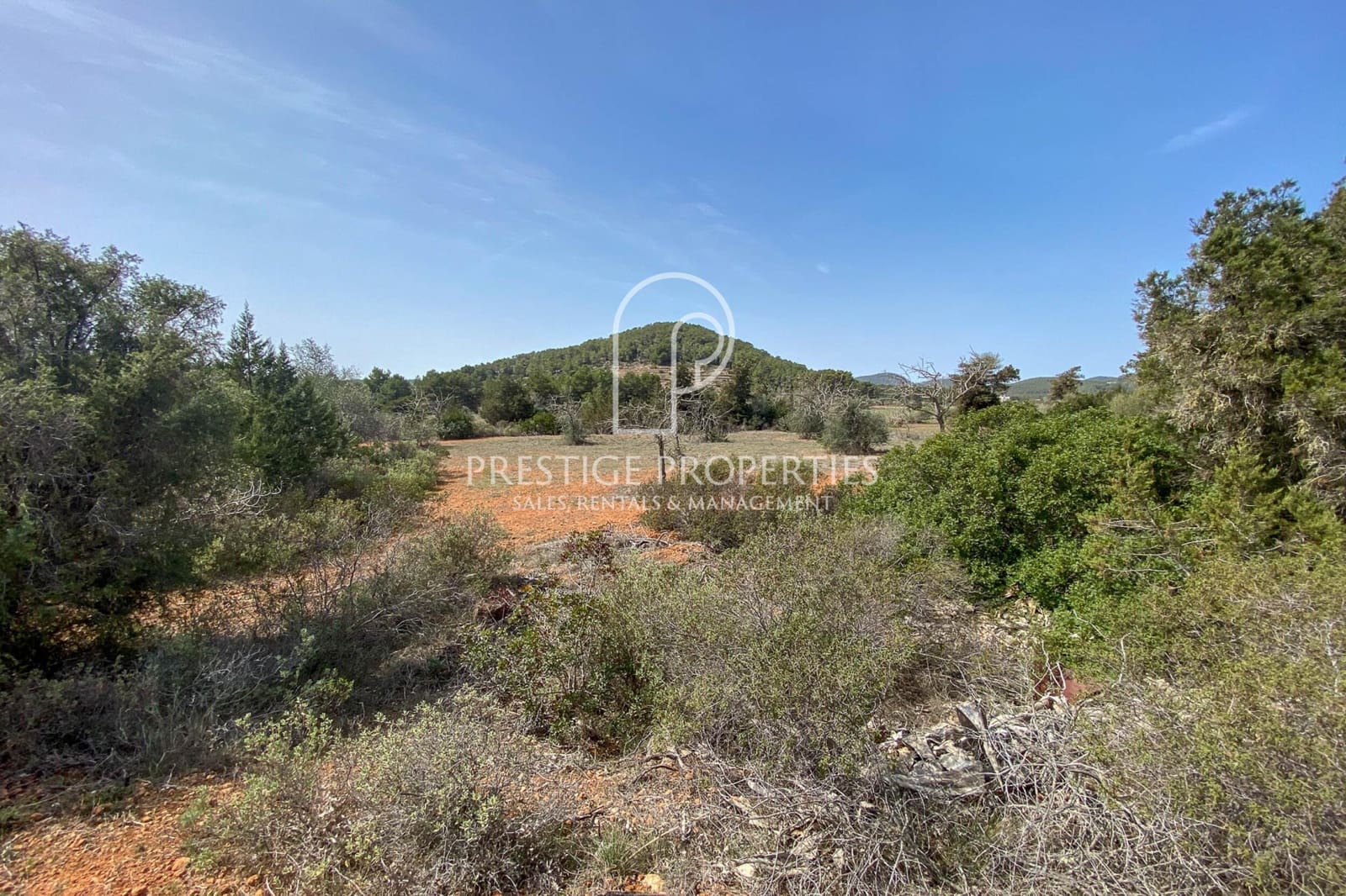 Undeveloped Land for sale in Sant Antoni de Portmany - € 2,500,000 (Ref: 8194629)