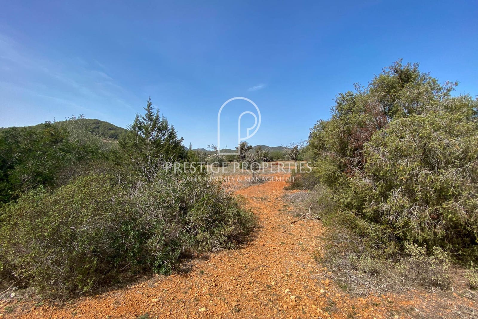 Undeveloped Land for sale in Sant Antoni de Portmany - € 2,500,000 (Ref: 8194629)