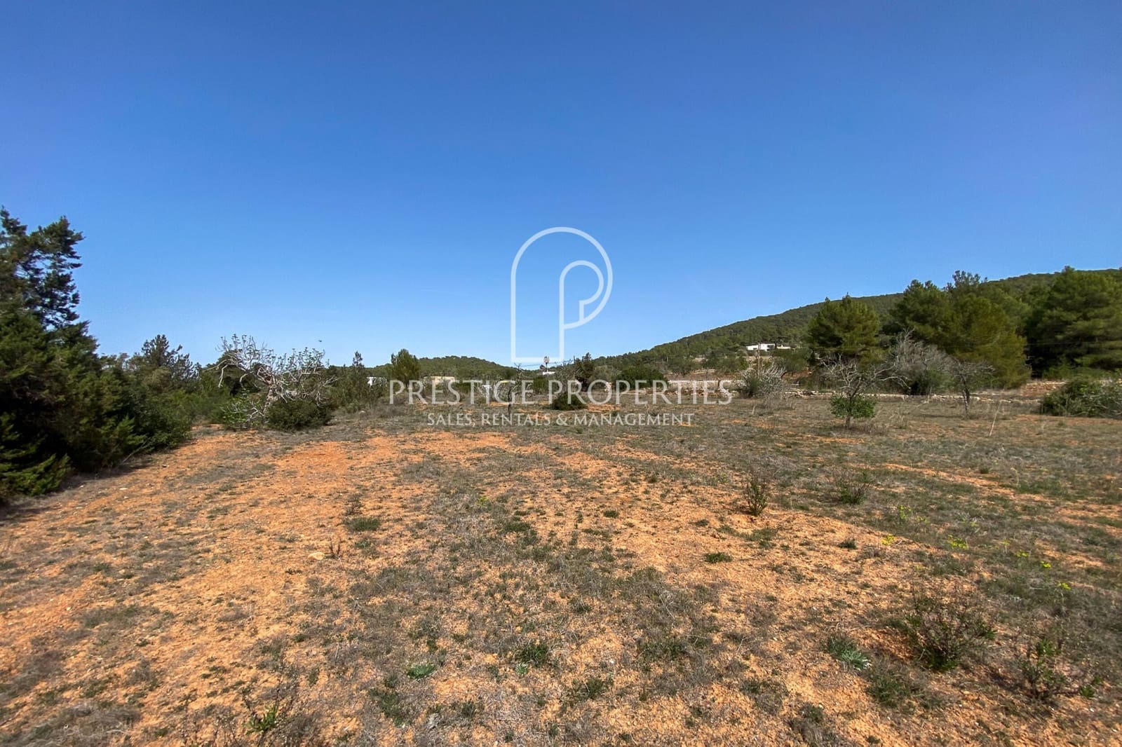 Undeveloped Land for sale in Sant Antoni de Portmany - € 2,500,000 (Ref: 8194629)