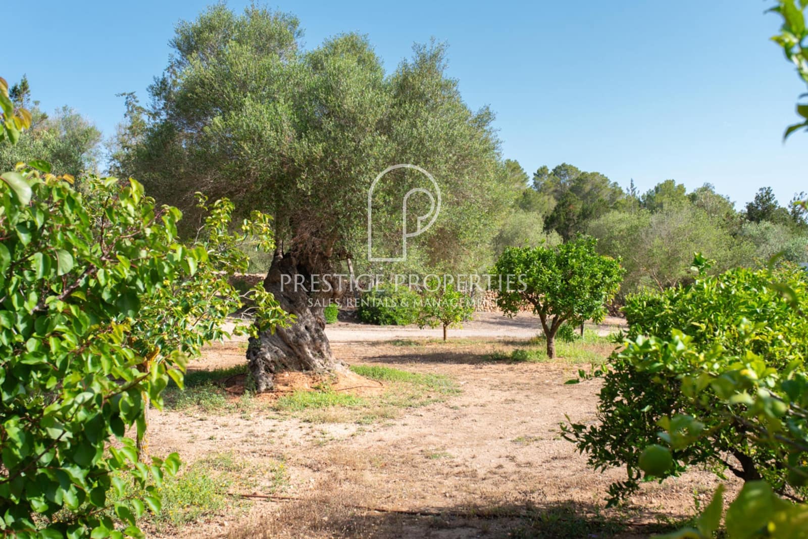 5 soveværelse Finca/Landehus til salg i Sant Antoni de Portmany med swimmingpool garage - € 4.940.000 (Ref: 8390093)