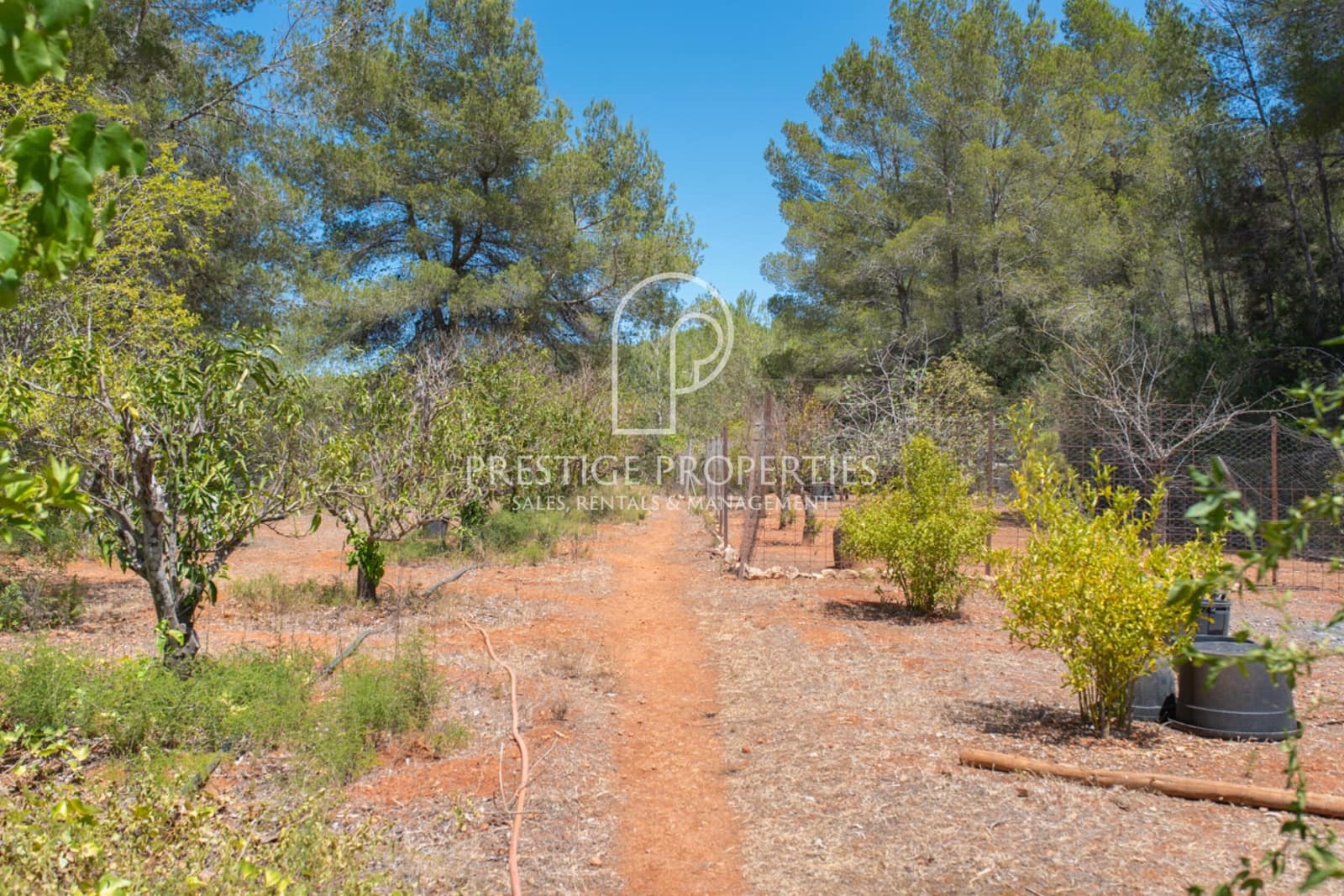 7 soveværelse Finca/Landehus til salg i Santa Eulalia / Santa Eularia med swimmingpool - € 5.750.000 (Ref: 8447575)