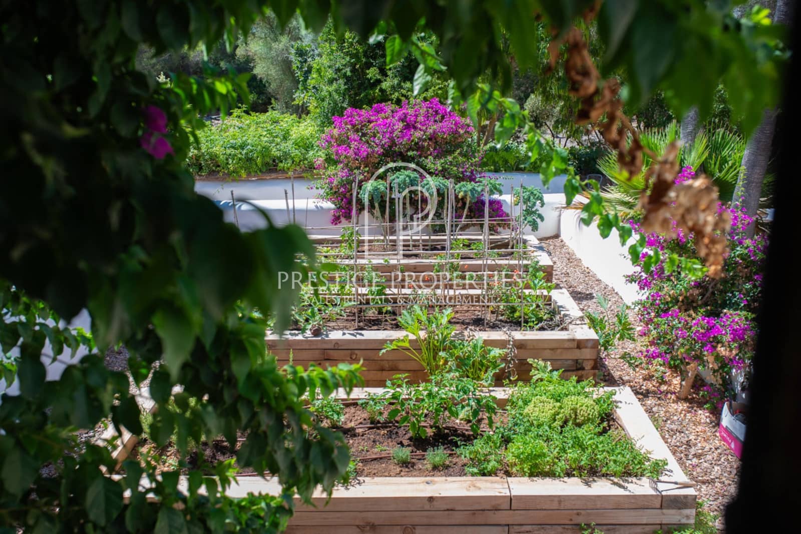 8 soveværelse Finca/Landehus til salg i Santa Eulalia / Santa Eularia med swimmingpool garage - € 6.900.000 (Ref: 8447576)