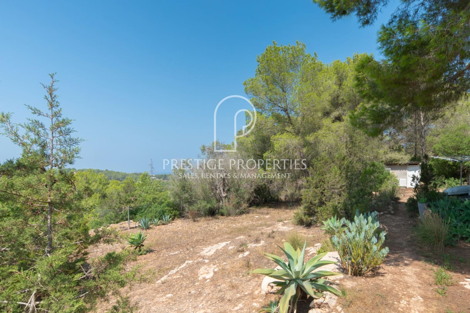 5 chambre Finca/Maison de Campagne à vendre à Sant Antoni de Portmany avec piscine - 2 950 000 € (Ref: 8501280)