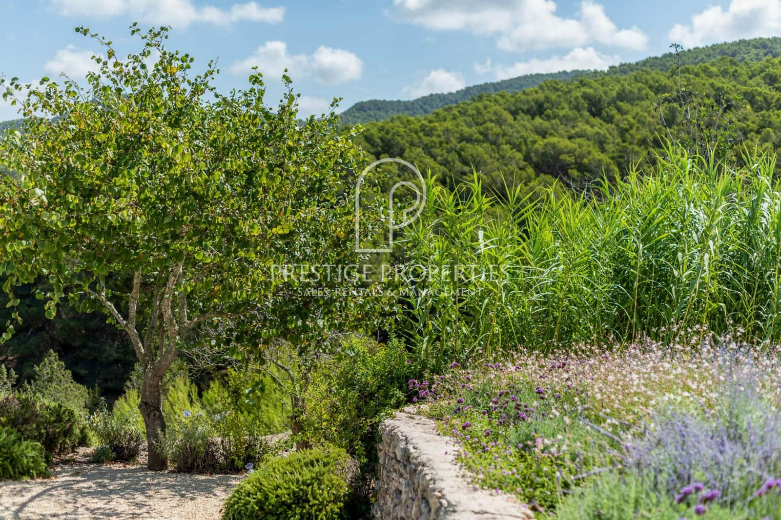 4 soveværelse Finca/Landehus til salg i San Jose / Sant Josep de Sa Talaia med swimmingpool garage - € 3.300.000 (Ref: 8895923)