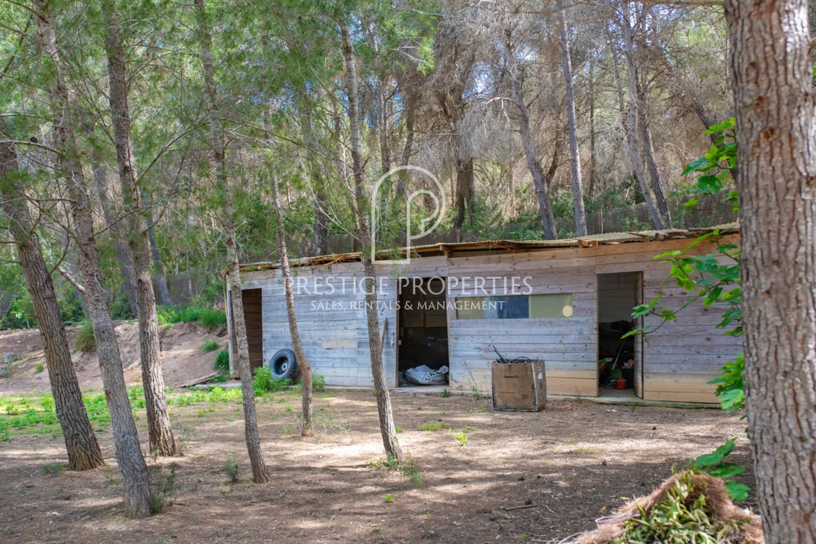 12 quarto Quinta/Casa Rural para venda em Santa Eulalia / Santa Eularia com piscina - 6 150 000 € (Ref: 8953878)