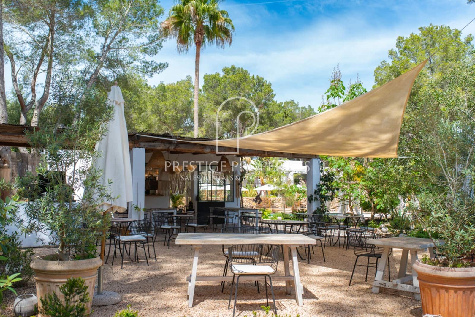 12 quarto Quinta/Casa Rural para venda em Santa Eulalia / Santa Eularia com piscina - 6 150 000 € (Ref: 8953878)