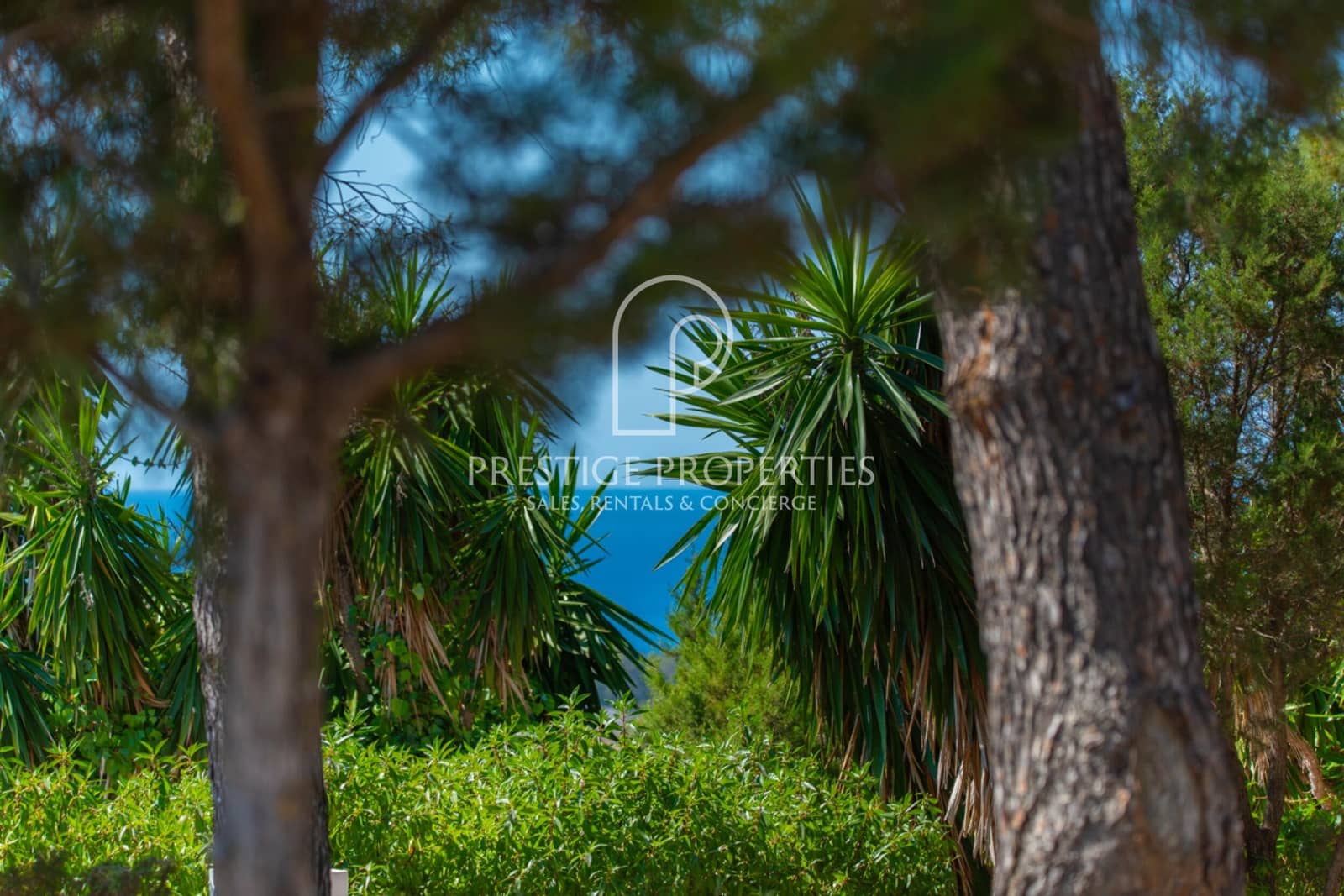 8 sypialnia Finka/Dom wiejski na sprzedaż w San Jose / Sant Josep de Sa Talaia z basenem garażem - 5 975 000 € (Ref: 9057068)