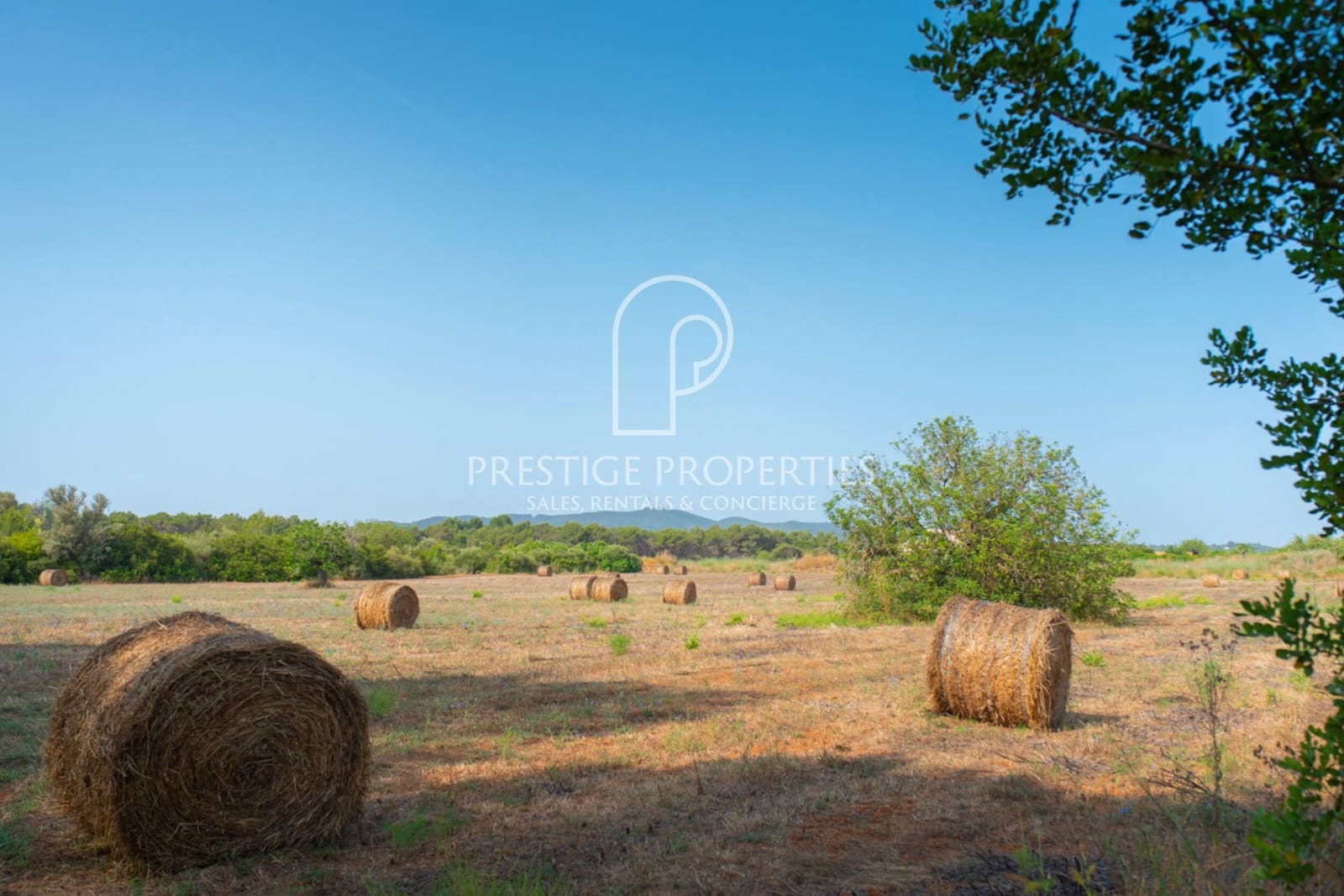 Teren niezagospodarowany na sprzedaż w Sant Joan de Labritja - 1 100 000 € (Ref: 9066969)