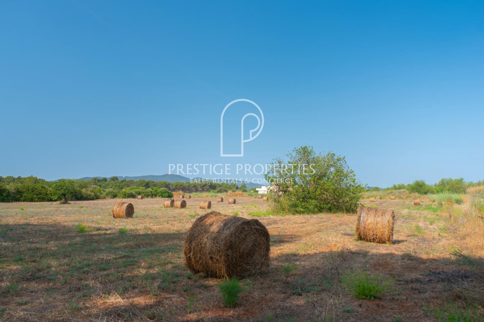 Teren niezagospodarowany na sprzedaż w Sant Joan de Labritja - 1 100 000 € (Ref: 9066969)