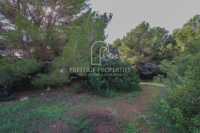Undeveloped Land for sale in Santa Eulalia / Santa Eularia - € 1,450,000 (Ref: 9129227)