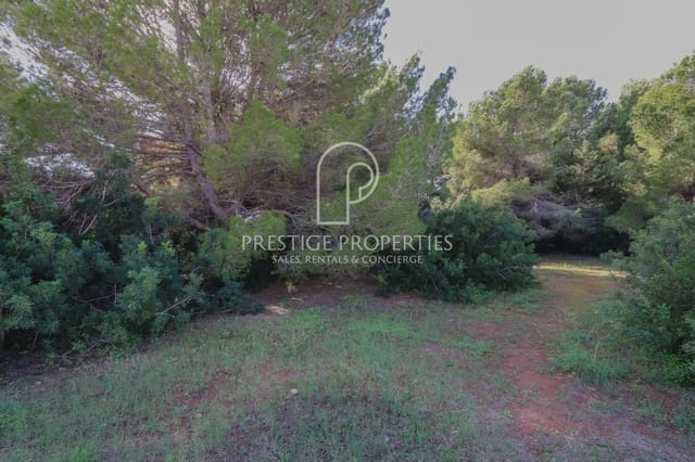 Undeveloped Land for sale in Santa Eulalia / Santa Eularia - € 1,450,000 (Ref: 9129227)