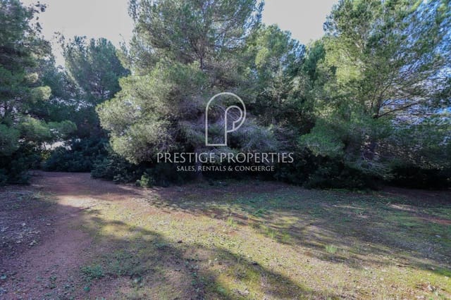 Undeveloped Land for sale in Santa Eulalia / Santa Eularia - € 1,450,000 (Ref: 9129227)