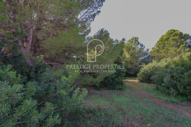 Undeveloped Land for sale in Santa Eulalia / Santa Eularia - € 1,450,000 (Ref: 9129227)